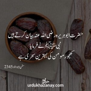 dates fruits with islamic urdu quotes written on the image
