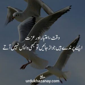 3 birds flying with a inspirational quotes in urdu written on image